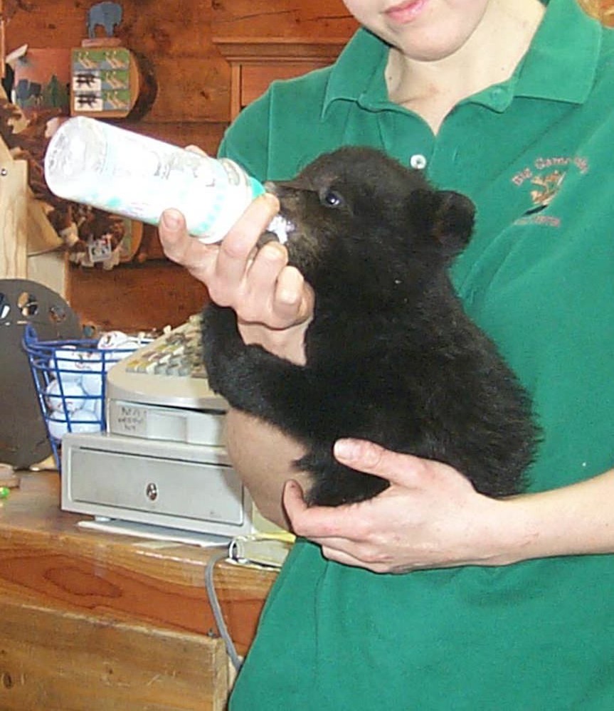 Alaska Wildlife Conservation Center Portage